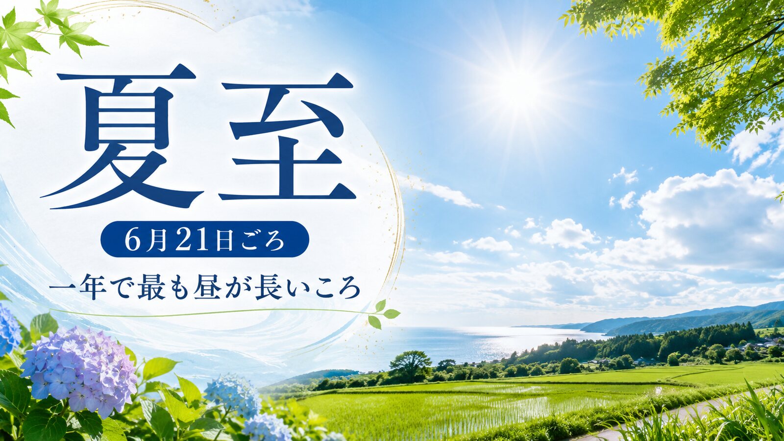 夏至のイメージ画像