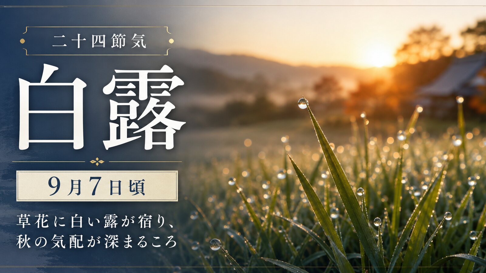 白露のイメージ画像
