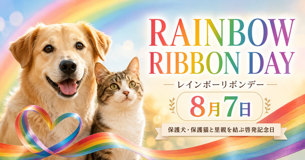 RAINBOW RIBBON DAYのイメージ画像
