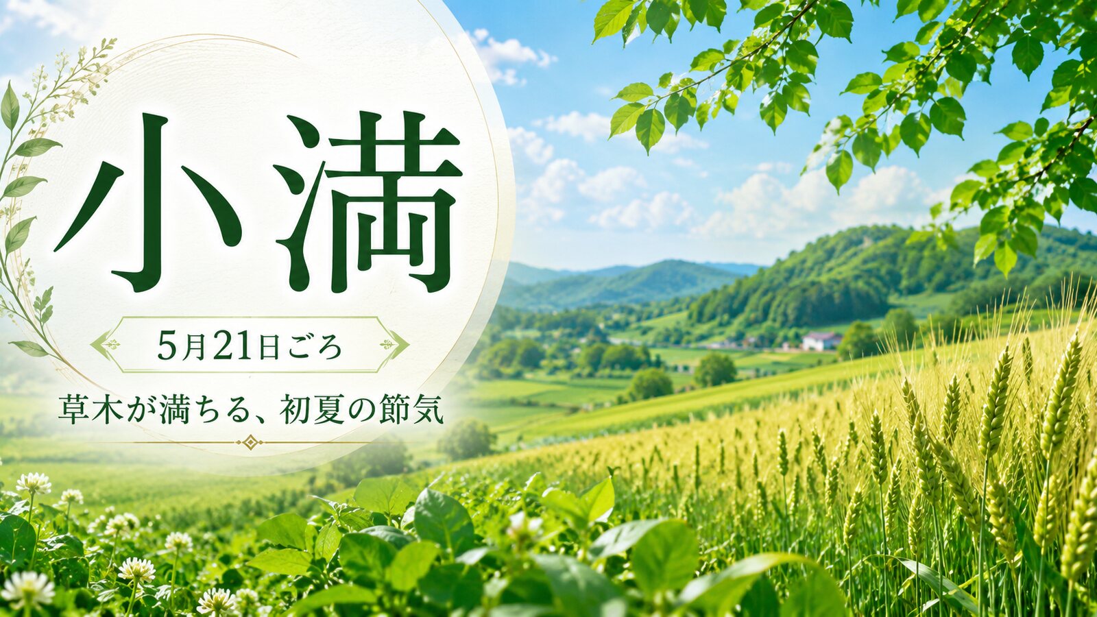 小満のイメージ画像