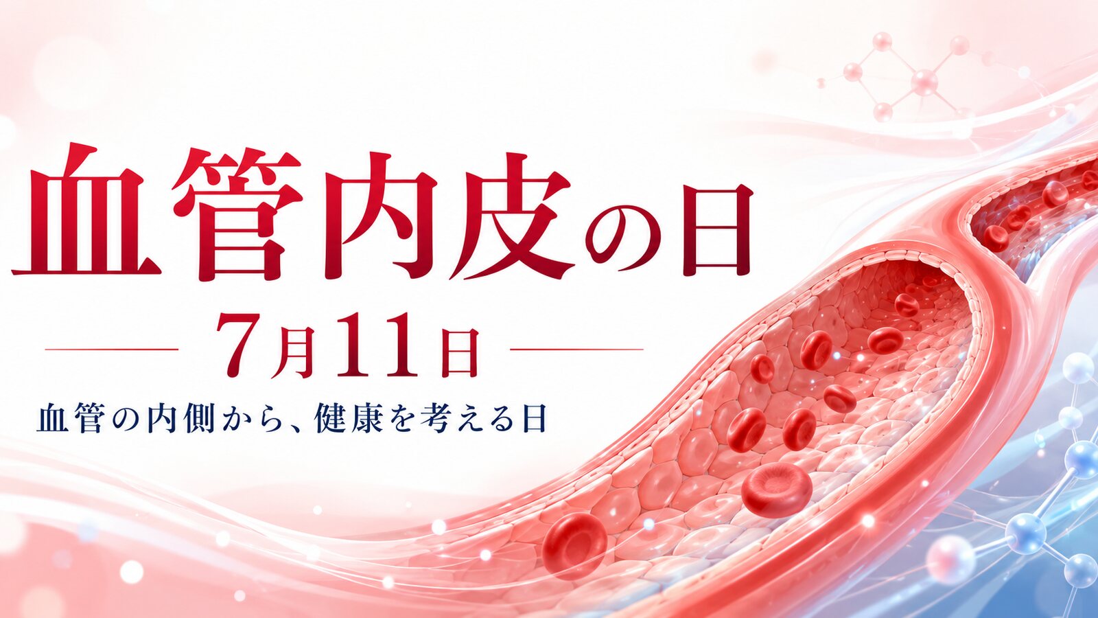 血管内皮の日のイメージ画像